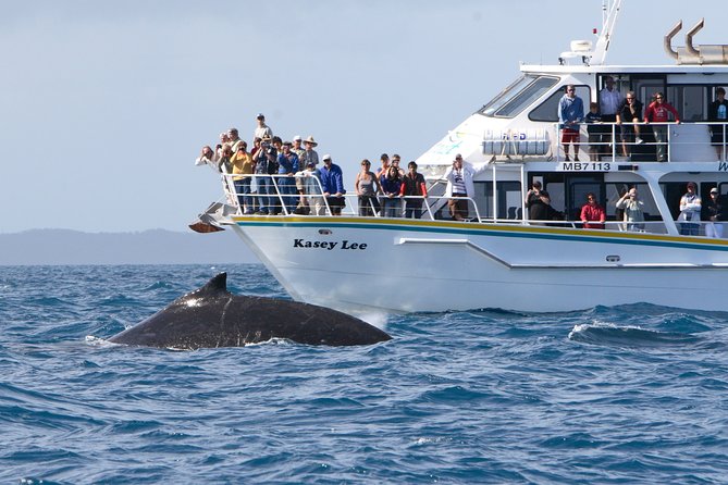 Phillip Island Seal-Watching Cruise - Live commentary and historic landmarks along the route