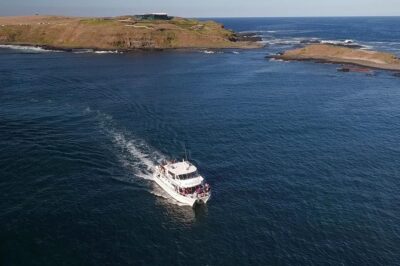 Phillip Island Seal-Watching Cruise - Indoor vs top deck: how to choose your seat for best viewing