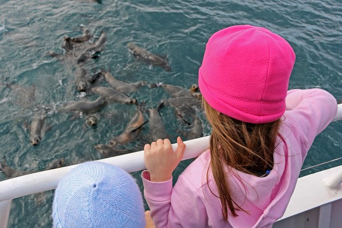 Phillip Island Seal-Watching Cruise - Afternoon tea on board: the included extra that changes the vibe