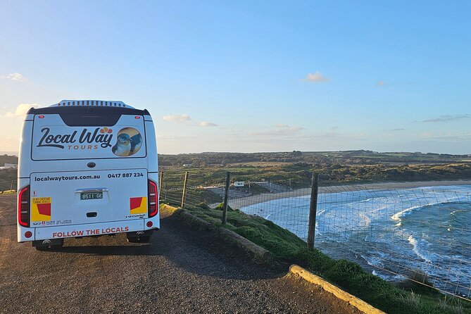 Phillip Island Wildlife Cruise and Penguin Tour from Melbourne - Flynns Beach and The Nobbies Golden Hour: when the light does the work