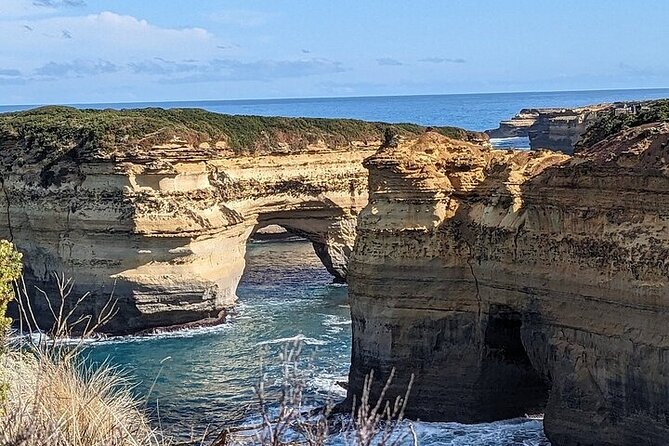 Premium Great Ocean Road Tour IN A Relaxed Way IN Premium Coach - Melba Gully National Park: short rainforest time with a clear payoff