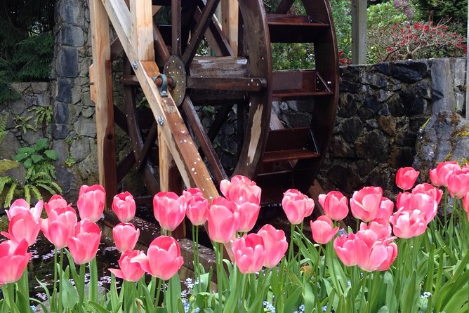 Private Deluxe Tour of Victoria & to Butchart Gardens (5 hrs) - Pickup in Victoria: cruise terminal meets the easy start