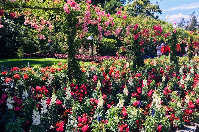 Private Deluxe Tour of Victoria & to Butchart Gardens (5 hrs) - Fisherman’s Wharf and the Inner Harbour: the “start here” Victoria combo