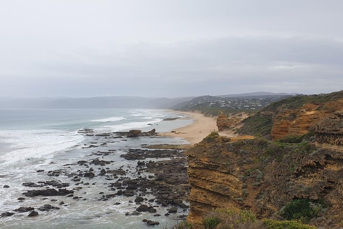Private Great Ocean Road Day Trip from Melbourne - The value of a private guide on the Great Ocean Road