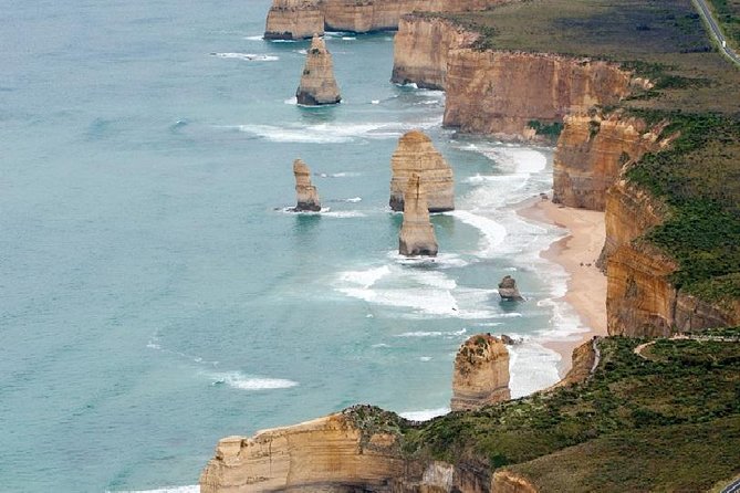 Private Great Ocean Road Tour (overnight option) - Day two in the Otways: rainforest driving and coffee at Lavers Hill