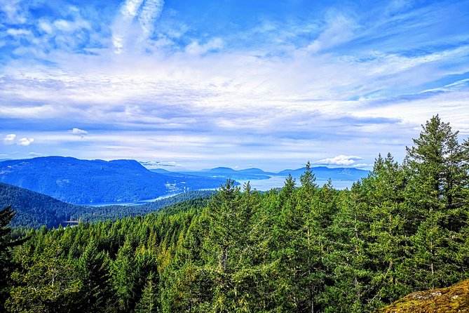 Private Guided Rainforest Hike in Victoria - Meet the guides: Alan and Darwin run the show