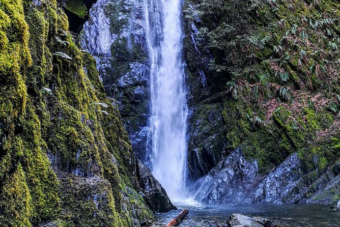 Private Guided Rainforest Hike in Victoria - What to bring (so the forest doesn’t win)