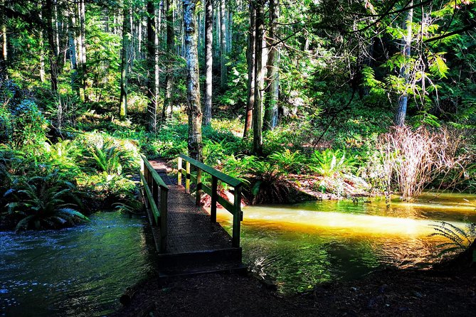Private Guided Rainforest Hike in Victoria - Price and value: why $82.57 can feel fair