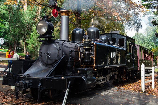 Puffing Billy And Healesville Sanctuary Scenic Tour - Price and value: why $163.53 can make sense