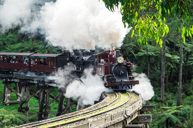 Puffing Billy And Phillip Island Penguin Parade Bus Tour - Key highlights you can count on