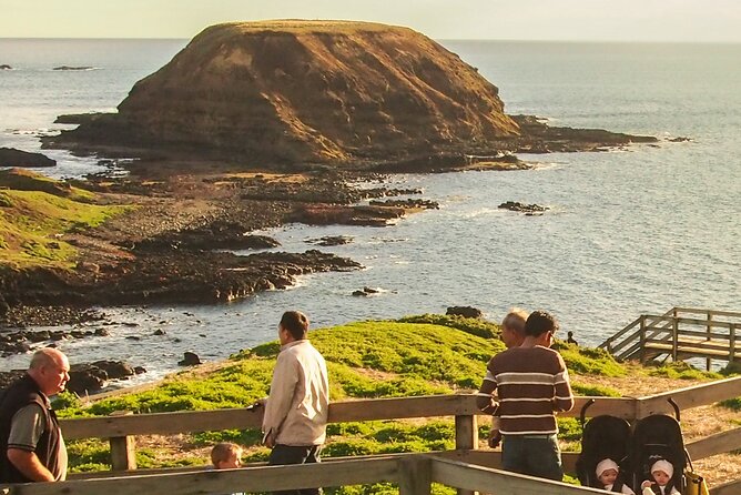 Puffing Billy And Phillip Island Penguin Parade Bus Tour - From Melbourne to the coast: the day’s rhythm