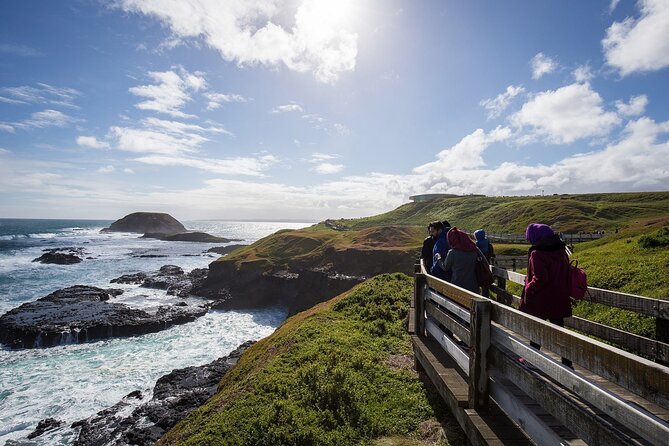 Puffing Billy And Phillip Island Penguin Parade Bus Tour - Price and value: what $171.42 buys you (and why it can be a bargain)