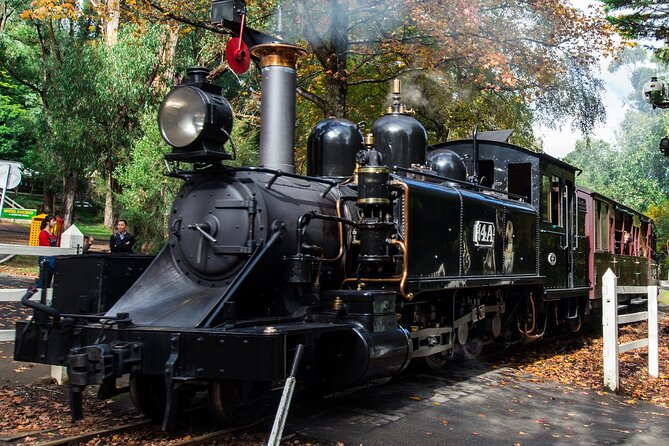 Puffing Billy And Phillip Island Penguin Parade Bus Tour - Puffing Billy at Emerald Lake Park: steam, scenery, and a train-with-attitude feel