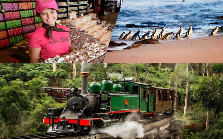 Puffing Billy Penguin Parade Winery Chocolaterie All-in-One - Key things to know before you go