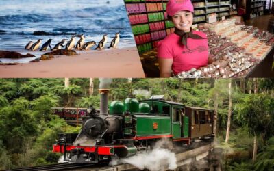 Puffing Billy Penguin Parade Winery Chocolaterie All-in-One - Yarra Valley Chocolaterie and Ice Creamery: Your Sugar Start