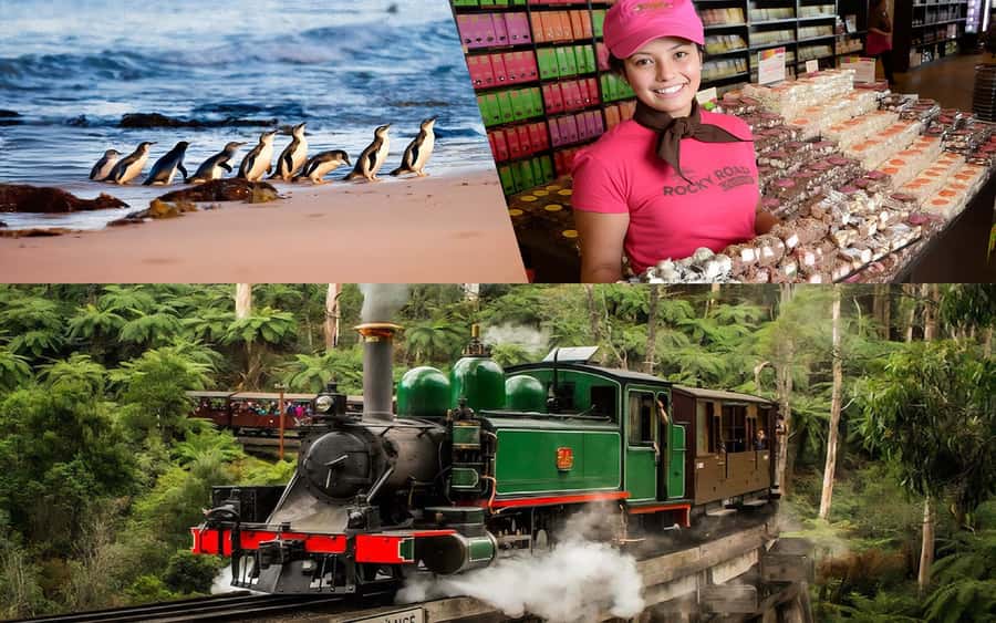 Puffing Billy Penguin Parade Winery Chocolaterie All-in-One - Yarra Valley Chocolaterie and Ice Creamery: Your Sugar Start