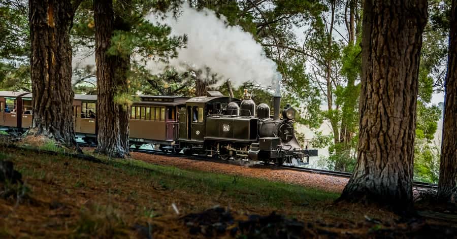 Puffing Billy Railway: Heritage Steam Train Journey - On Board the Heritage Carriages: Leg-Dangling Rules and Comfort Reality