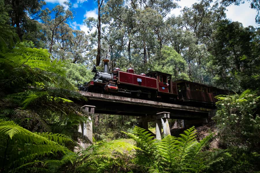 Puffing Billy Railway: Heritage Steam Train Journey - Scenery Watch: What You Can See Between Belgrave and Gembrook