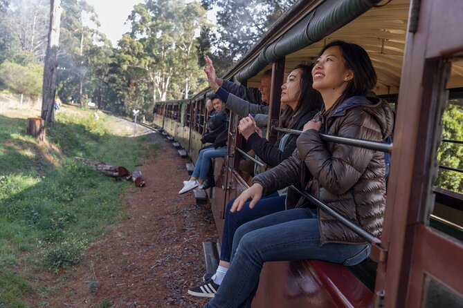 Puffing Billy & Rainforest Tour from Melbourne - The one-hour Puffing Billy ride: where to sit for best views