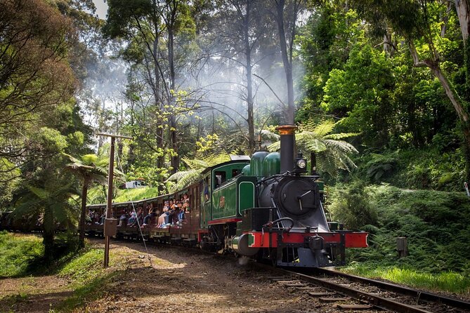Puffing Billy Steam Train Experience - Who this half-day Puffing Billy trip is best for