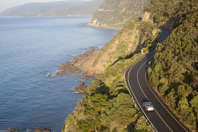 Reimagined Great Ocean Road 1-Day Tour from Melbourne - Loch Ard Gorge: shipwreck stories and a short walk that adds meaning