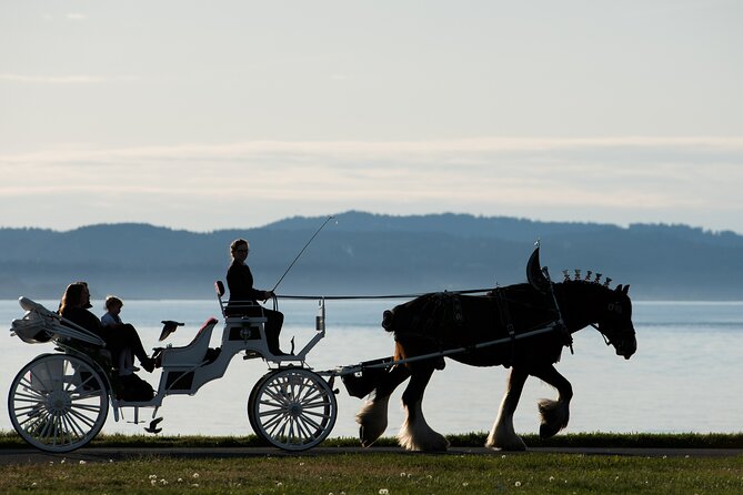 Salish Sea Horse-Drawn Carriage Tour of Victoria - The route in plain English: from the BC Legislature to the Olympic views