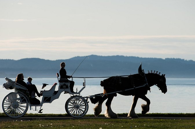 Salish Sea Horse-Drawn Carriage Tour of Victoria - Where you meet: 469 Belleville St. and direction traps