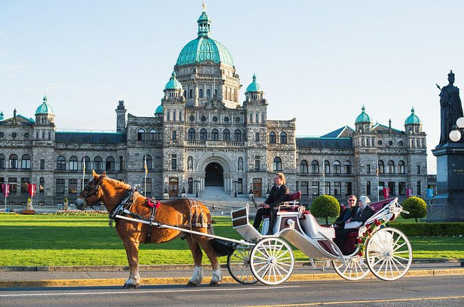 Salish Sea Horse-Drawn Carriage Tour of Victoria - Dogs, service animals, and small-group comfort