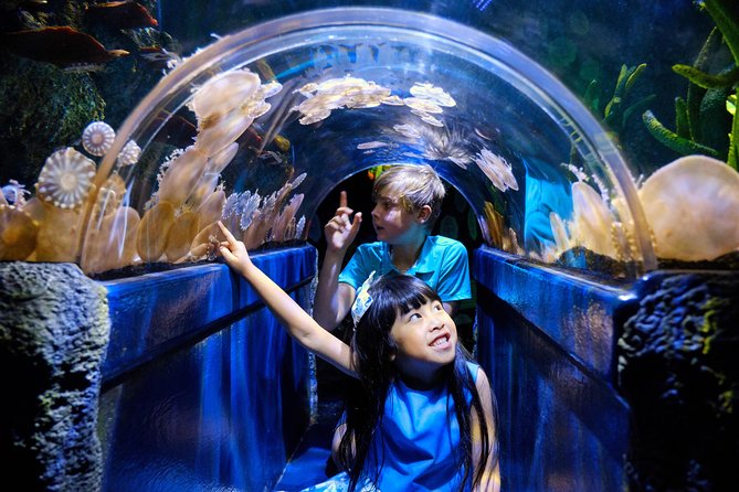 SEA LIFE Melbourne Aquarium Admission Ticket - Ticket value: what the $27.97 admission actually buys