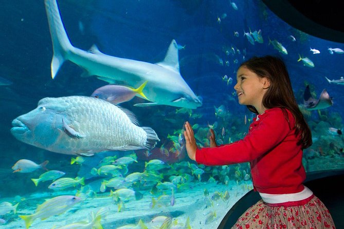SEA LIFE Melbourne Aquarium Admission Ticket - Crowd control: how to avoid the noisy, pram-heavy chaos
