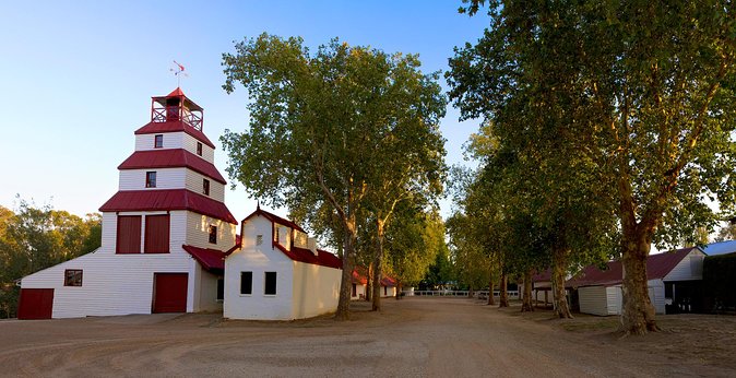 Self-Guided Gourmet Culinary Cycling Day Tour From Beechworth - Milawa Cheese Company: the lunch stop that turns the day into a meal