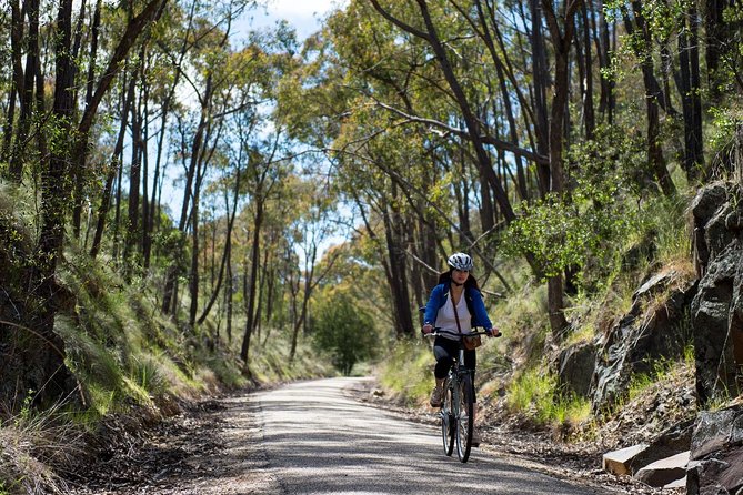 Self-Guided Gourmet Culinary Cycling Day Tour From Beechworth - The gourmet stop pattern: olives, mustard, and that country-pub vibe