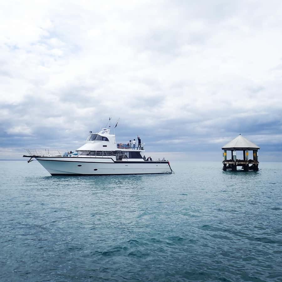 Sorrento,Mornington Peninsula: Wildlife & Sightseeing Cruise - Key points before you go