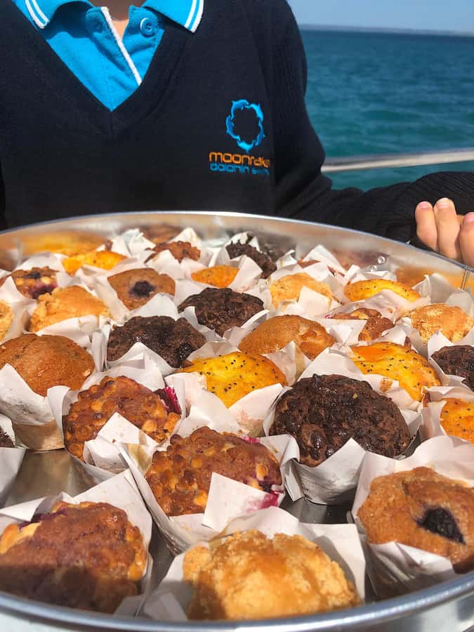 Sorrento,Mornington Peninsula: Wildlife & Sightseeing Cruise - Price and value: is $53 for 90 minutes fair?