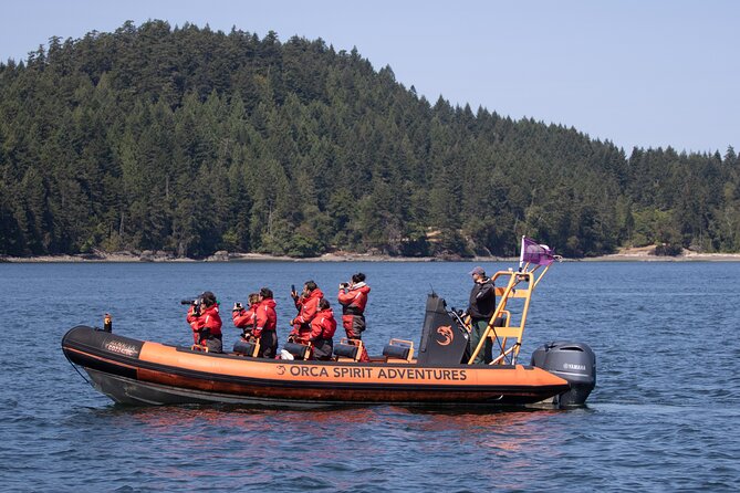 Summer Whale Watching Tour in a Zodiac Boat in Victoria - Boat reality check: staying warm, expecting spray, and handling rough water