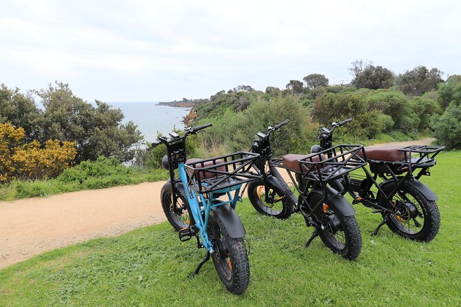 Tae Rak (Lake Condah) 2-Hour Cultural Tour - Wildlife spotting that actually feels tied to culture