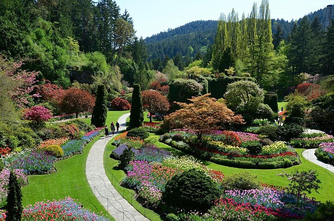 The Butchart Gardens Express Shuttle from Downtown Victoria - Timing tips that can actually change your day