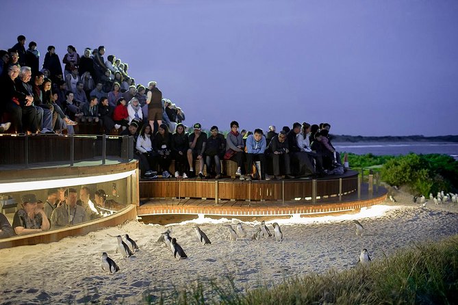 Tungatt Mirring, Stone Country Half Day Tour - Budj Bim - Price and Value: Is $114.04 Worth It?