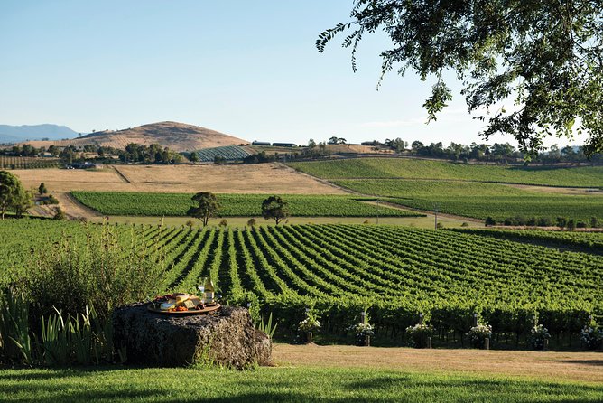 Ultimate Yarra Valley Chandon, Soumah & De Bortoli Cheese & Wine - What the Small Group Size Actually Changes