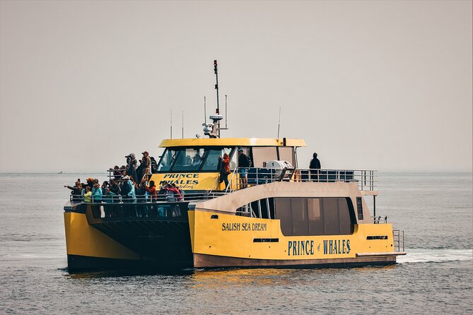 Victoria Half-Day Whale Watching Adventure with Free Photos - The “free photos” part: how to make it count