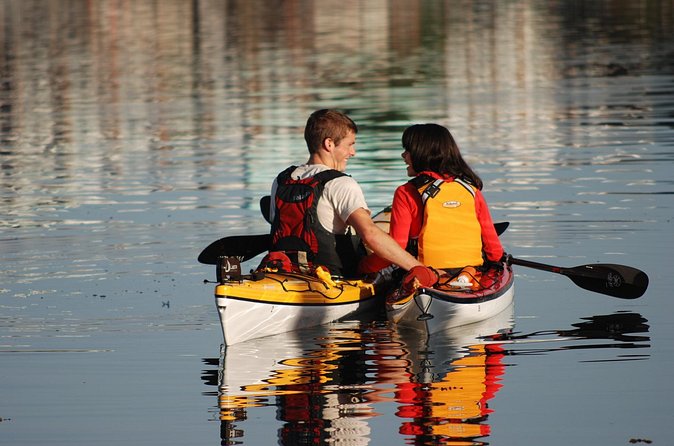 Victoria Harbour Kayak Tour - Who should book this kayak tour, and who should think twice