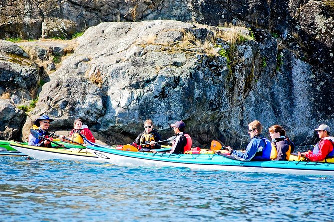 Victoria Harbour Kayak Tour - The 1:30 pm schedule and the pacing you’ll feel on the water