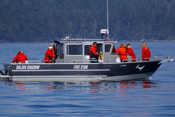 Victoria Ultimate Marine Whale & Wildlife Tour - The “value” question: $134.02 for 3 hours, is it fair?