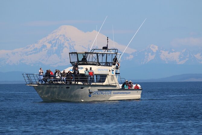 Victoria Whale Watch Tour - Key things to know before you go