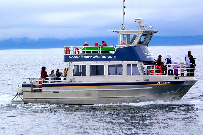 Victoria Whale Watching Cruise with Expert Naturalists - Key highlights worth knowing before you go