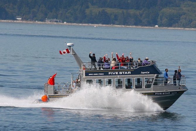 Victoria Whale Watching Cruise with Expert Naturalists - Why whale watching from Victoria can feel personal