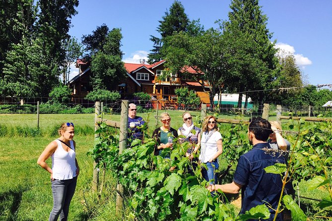 Victoria Wine Tour with Wine Tastings and Charcuterie - The $135.19 Value Test: Tastings, Lunch, and the Real Cost of a Relaxed Day