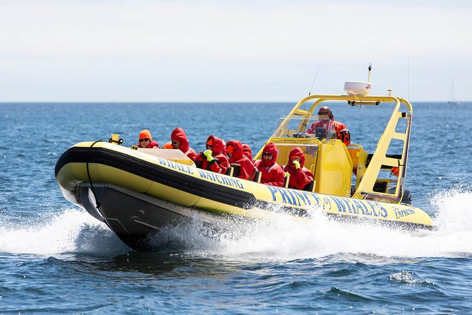Victoria Zodiac Boat Whale Watching Adventure - Gear that matters: flotation suits, warmth, and what to wear
