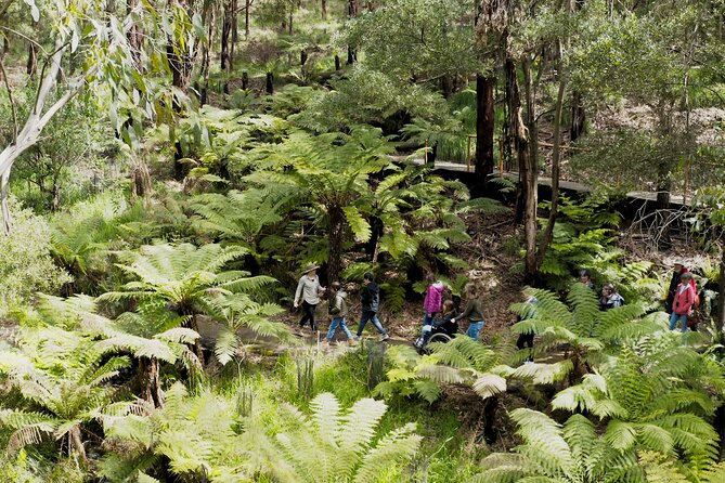 Walk with Wildlife: Guided Tour in Great Ocean Road - Stop at the Conservation Ecology Centre Research Hub