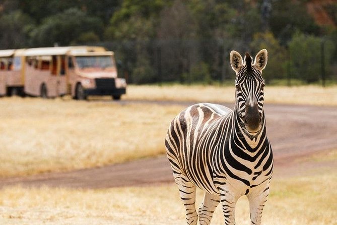 Werribee Open Range Zoo General Admission Ticket - Getting there and making your day run smoothly